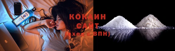ПСИЛОЦИБИНОВЫЕ ГРИБЫ Абаза