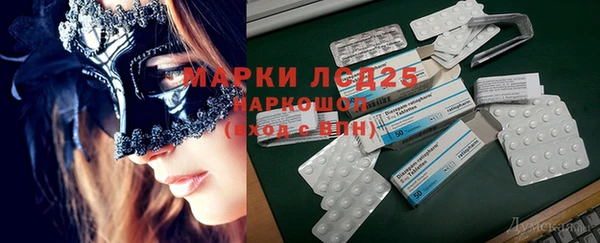 ПСИЛОЦИБИНОВЫЕ ГРИБЫ Абаза